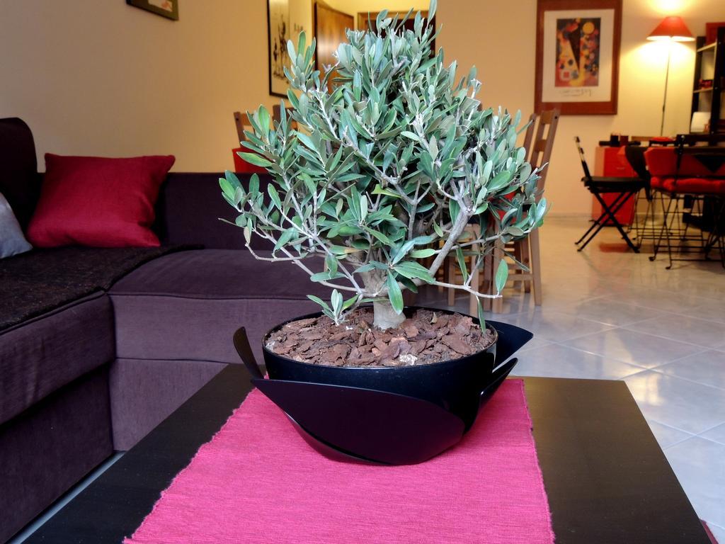 זפראנה אטניאה B&B Il Rosso E Il Nero מראה חיצוני תמונה
